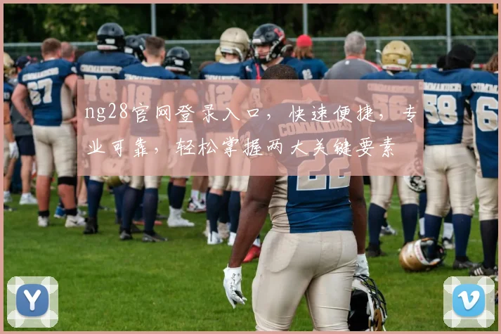 ng28官网登录入口，快速便捷，专业可靠，轻松掌握两大关键要素