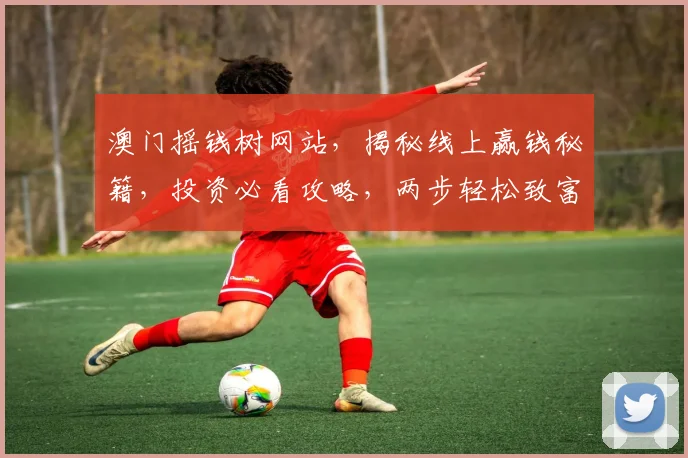 澳门摇钱树网站，揭秘线上赢钱秘籍，投资必看攻略，两步轻松致富