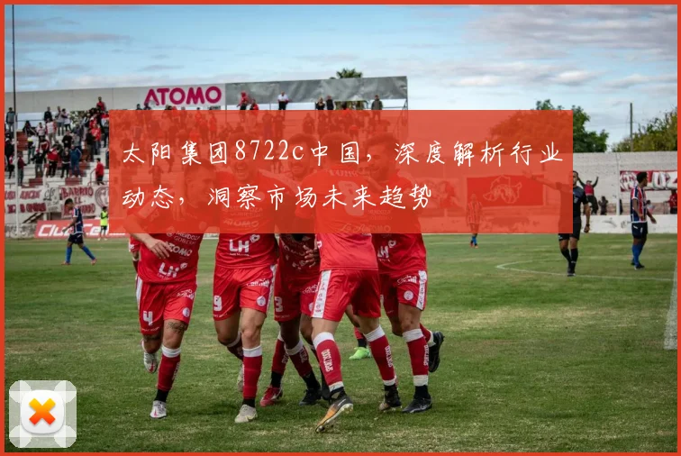 太阳集团8722c中国，深度解析行业动态，洞察市场未来趋势